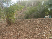 Oside6