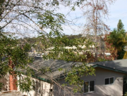 Oside7